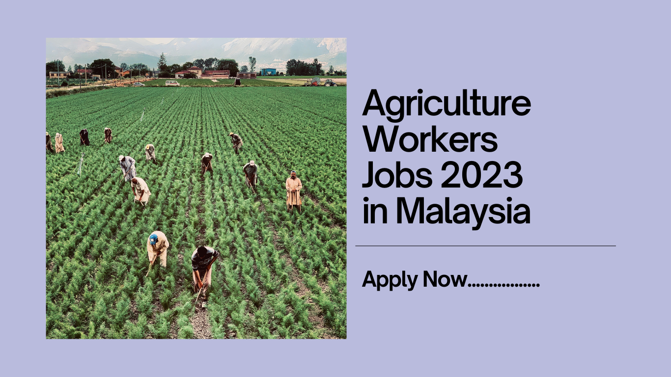 Agriculture Workers Jobs 2023 in Malaysia